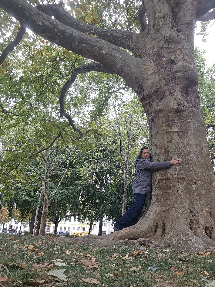 Vorschaubild: Katharina umarmt den mächtigen Stamm einer Platane im Arne-Karlsson-Park